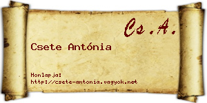 Csete Antónia névjegykártya
